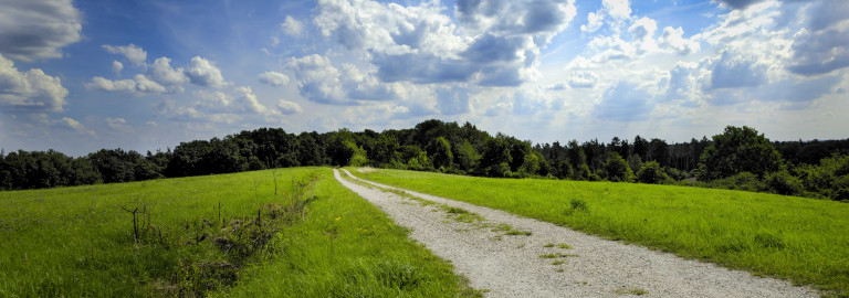 Beispielbild Natur